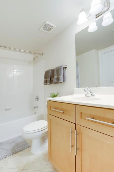 Condo With Gym And Pool In Pentagon City 8Min To Dca Арлингтон Экстерьер фото